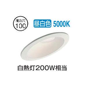大光電機 傾斜天井用ダウンライト(軒下兼用) DDL5417WWG 工事必要