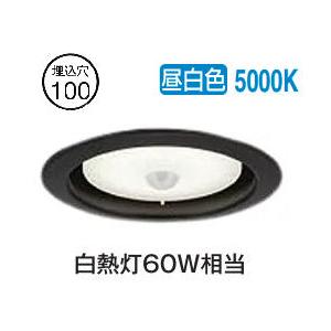 大光電機 人感センサー付ダウンライト DDL5577WB 昼白色 工事必要