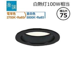 大光電機 専用調光器 DP39673 工事必要 : プリズマヤフー店 - 通販