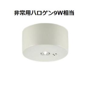 大光電機 非常灯 屋外使用可（埋込タイプ） DEG41013WE 工事必要