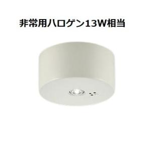 大光電機 非常灯 屋外使用可（埋込タイプ） DEG41013WE 工事必要