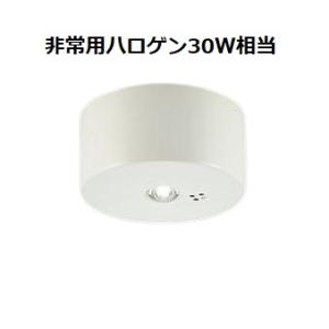 大光電機 非常灯 屋外使用可（直付タイプ） DEG41012WE 工事必要