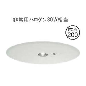 大光電機 非常灯 屋外使用可（埋込タイプ） DEG41013WE 工事必要