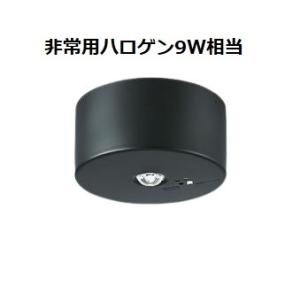 大光電機 非常灯 屋外使用可（埋込タイプ） DEG41013WE 工事必要