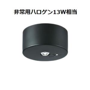 大光電機 非常灯 屋外使用可（埋込タイプ） DEG41013WE 工事必要