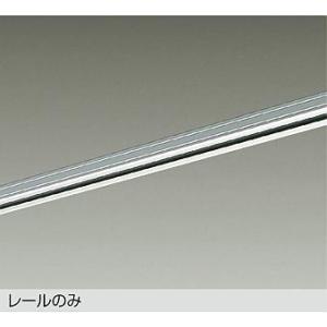 大光電気　天井直付専用器具 スライドダクトレール 大光電機 直付専用ダクトレール3m用 シルバー DP00213S 工事必要