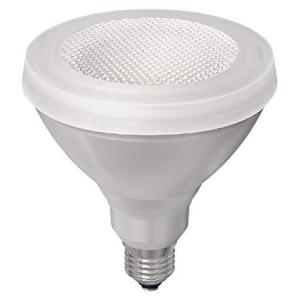 大光電機 ユニットフラット形ランプ(径75mm) DP41866A 温白色