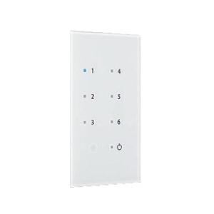大光電機 シーンコントローラー子器 DP39094 工事必要