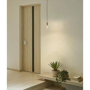 照明 おしゃれ 大光電機 DAIKO ペンダントライト DPN-41579Y ダクト