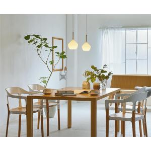 大光電機 ※メーカー欠品中※ ダクトレール用ペンダント DPN41848Y