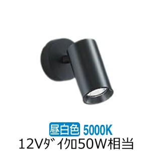 大光電機 シリンダースポット LZS-9119YBM5 1200クラス φ70 12V
