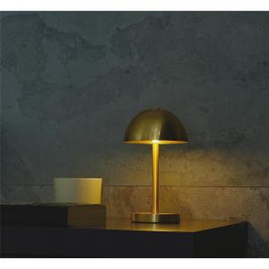 大光電機 ポータブルライト DST41890Rの買取情報