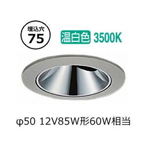 大光電機 ※メーカー欠品中※ アウトドアユニバーサルダウンライト (調光