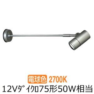 大光電機 屋外スポットライト LZW60789YS 工事必要 : プリズマヤフー店