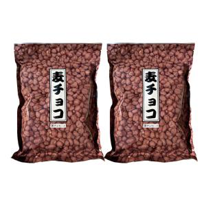 寺沢製菓麦チョコレート200ｇ×2