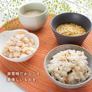 アルファ米26種類セット8日分 非常食 アルフ...の詳細画像1
