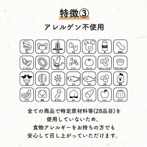 アルファ米26種類セット8日分 非常食 アルフ...の詳細画像5