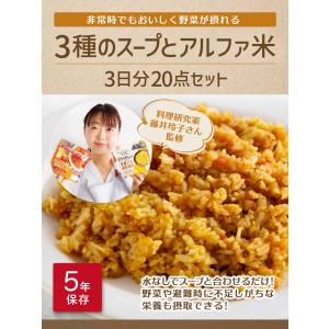 3種のスープとアルファ米3日分20点セット 非...の詳細画像1