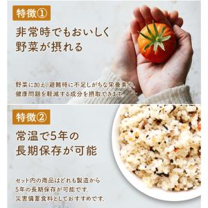 3種のスープとアルファ米3日分20点セット 非...の詳細画像2