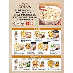 3種のスープとアルファ米3日分20点セット 非...の詳細画像5