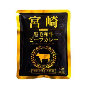 宮崎 宮崎黒毛和牛ビーフカレー 160g｜pro-foods