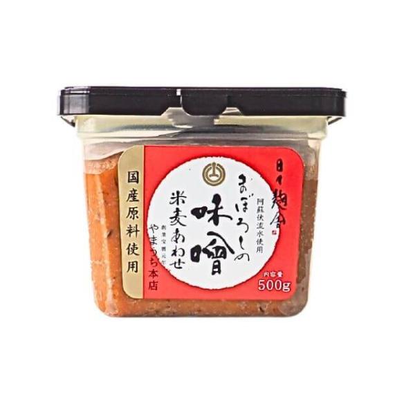 山内本店 まぼろしの味噌（米麦あわせ） 500g