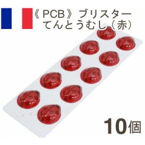 夏季冷蔵 てんとうむし（赤）10個取り