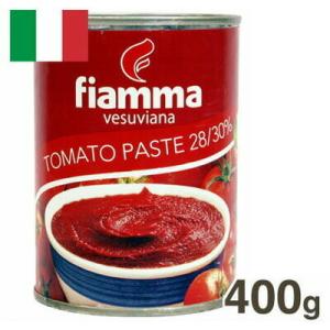 フィアマベスビアーナ トマトペースト 400gの商品画像