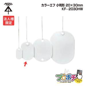 未来工業 (法人限定) 10個セット KF-1H カラーエフ 角形 20枚入 15