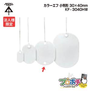 未来工業 (法人限定) 10個セット KF-30H カラーエフ 丸形 20枚入 φ30