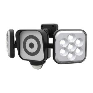 (送料無料(一部地域除く)・代引不可)ムサシ　RITEX(ライテックス)　LED　センサーライト　防犯カメラ　8W×2灯　C-AC8160 (L)｜pro-shimizu