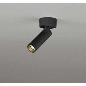 (代引不可)ODELIC オーデリック OS256751 スポットライト ランプ・調光器別売 ブラック  (A)｜pro-shimizu