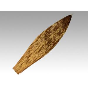 竹資材 竹皮 ＃400 1kg(約120枚)