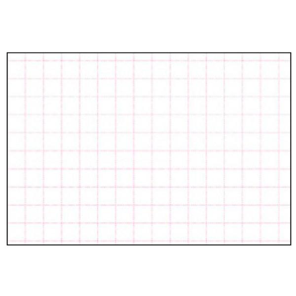 (10点) ショーカード 大 アミ目入 無字 50枚入 ササガワ 00047534