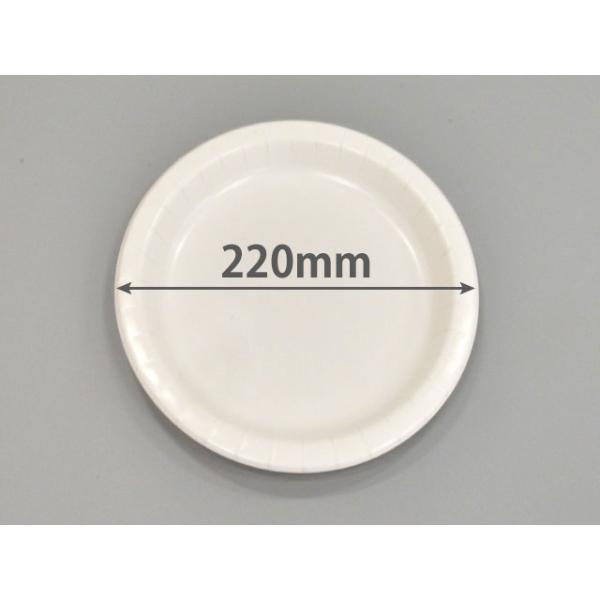 【800点】紙皿 ウルトラプレートNo.9 ペーパーウェア 00116188