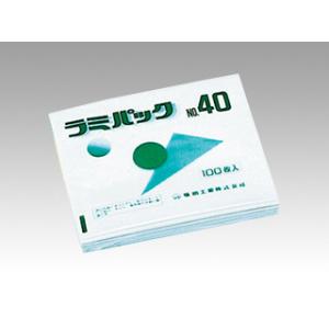 惣菜 軽食袋 平袋 惣菜袋 福助工業 ラミパック 40号(新) 100枚 業務用