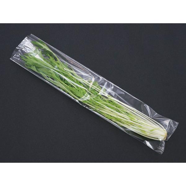 青果用袋 ベルグリーンワイズ 青果用 防曇袋 FG20#100×450 穴無 P入 10000点(1...