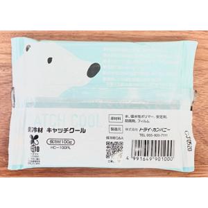 保存 保冷用品 保冷剤 保温剤 キャッチクール...の詳細画像1