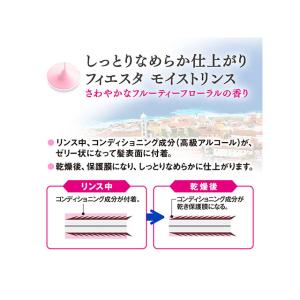 (1点) コンディショナー フィエスタ モイス...の詳細画像3