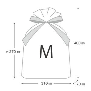 【1点】袋 ミントストライプリボン付PEギフト...の詳細画像3