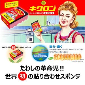 スポンジ たわし ブラシ キクロンA 16ヶ付...の詳細画像2