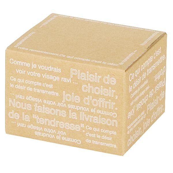 【1点】イベントグッズ カフェオレカートンBOX-5(10枚) ヘッズ 00451536