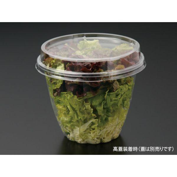 使い捨て食品容器 冷麺容器 パックスタイル 33ozサラダ 本体 50枚