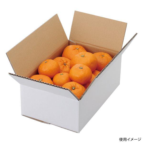 (80点) ギフト箱 L-2231 A式みかん白無地3kg ヤマニパッケージ 00545352