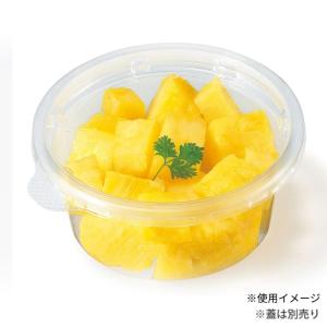 磁気流体活性機 パイプロテクス PT1320A : 北柏デンキ Yahoo!ショップ