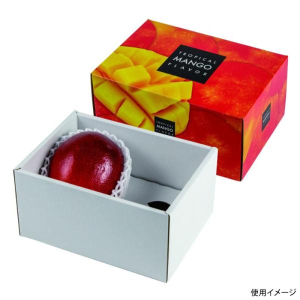 【80点】贈答箱 トロピカルマンゴー2ヶ ヤマニパッケージ 00734014