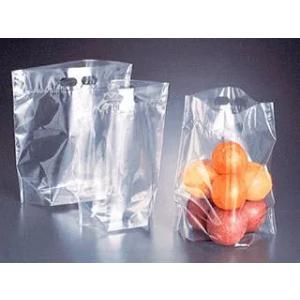 【1000点】スタンド袋 ハンドパックバイオ1号300×310 ベルグリーンワイズ 00800134