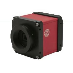 TOA N-C5250R3　ドーム型赤外フル HD ネットワークカメラ N-C5250R3 ドーム型赤外フルHDネットワークカメラ(SDカード録画) TOA