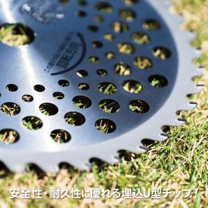 SHINGU チップソー 替刃 ゼロワン ZE...の詳細画像3