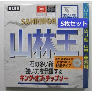 森林王 255mm軽量タイプ 草刈チップソー バクマ工業 : プロヤマ - 通販